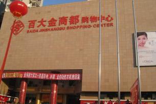 六安百大金商都购物中心电梯安装工程安装